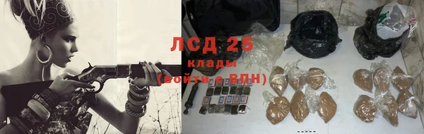 ПСИЛОЦИБИНОВЫЕ ГРИБЫ Нязепетровск