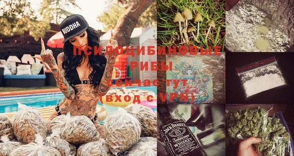 ПСИЛОЦИБИНОВЫЕ ГРИБЫ Нязепетровск