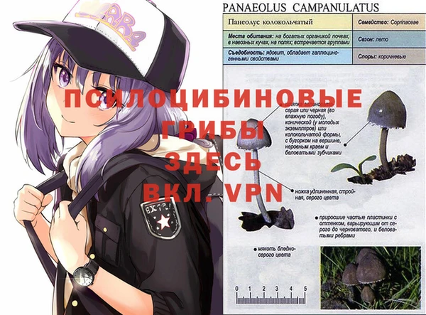 кокаин Няндома