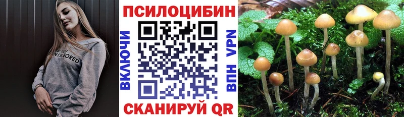 Псилоцибиновые грибы мицелий  цена   Нахабино 